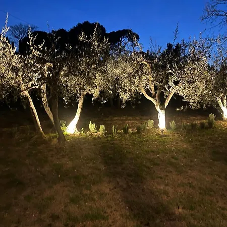 펜션 Mikipongtwo *