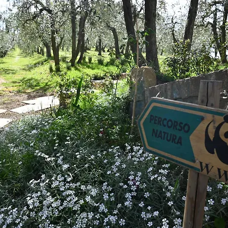 펜션 Mikipongtwo Montepulciano Stazione